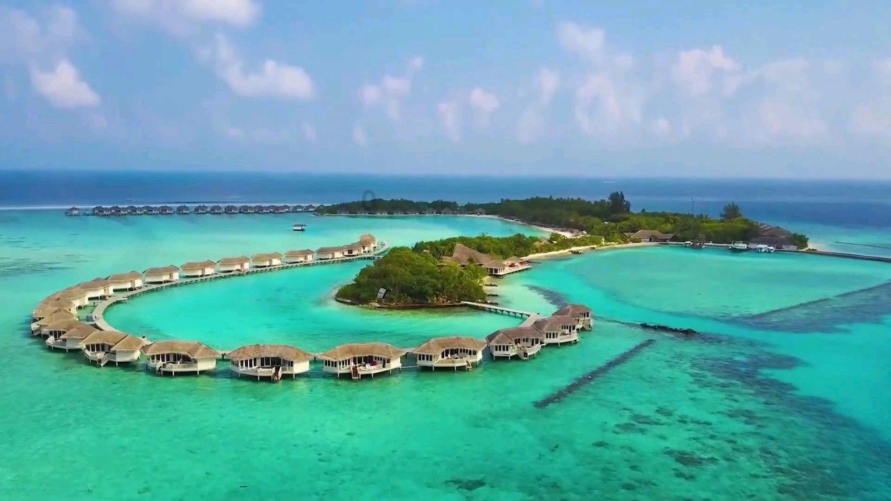 你曾遇到过最少见的姓氏是哪个？